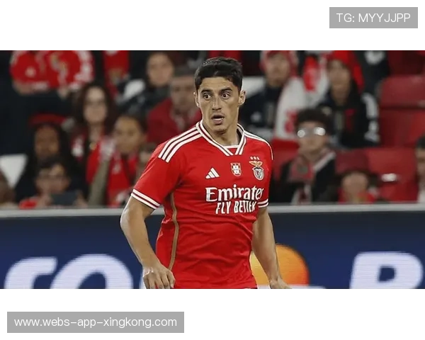 本菲卡穆萨高速插上轻推到位：一场关于速度与落位的品牌叙事